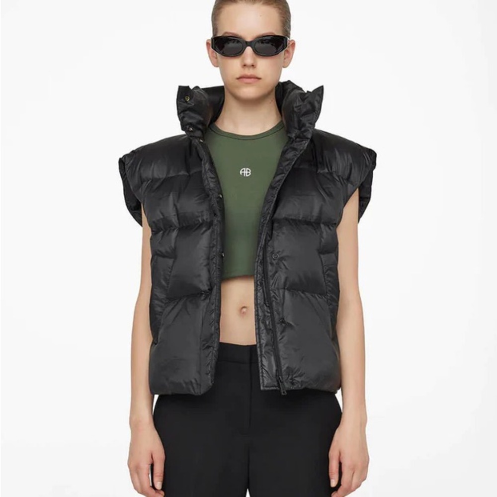 Anine Bing The Kane Vest - Picture 2 of 10